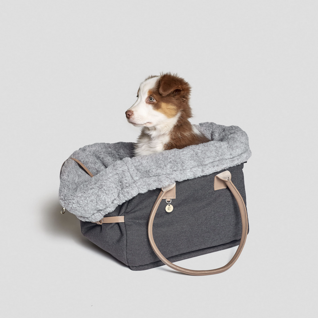 CLOUD7 City Carrier Como with dog model